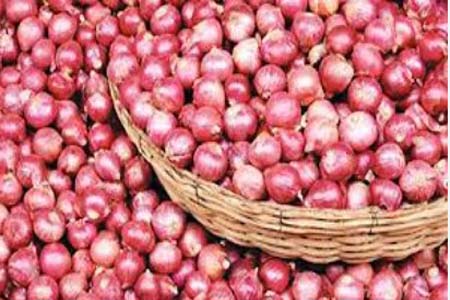 দৈনিক আইপি দেওয়া হবে ২০০টি করে