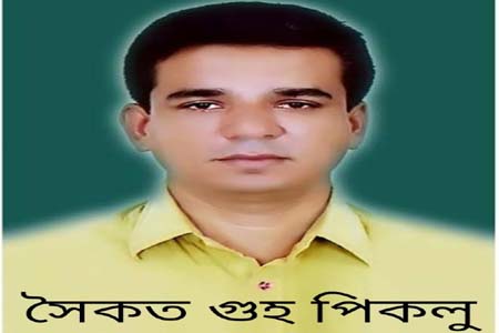 চেয়ারম্যান পিকলু গুহ