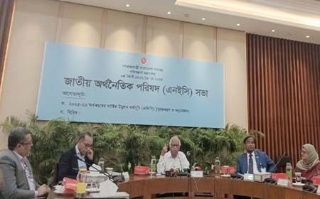 বাজেট ব্যবস্থাপনা টেকসই