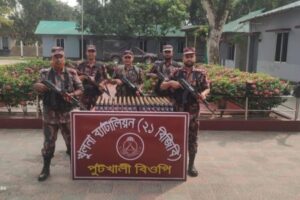 বেনাপোল পুটখালী সিমান্ত এলাকায় বিজিবি অভিযানে ২৭২ বোতল ভারতীয় উইনিক্স সিরাপ উদ্ধার 