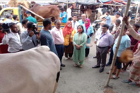 রাজধানীতে কোরবানির পশুর হাট পরিদর্শনে প্রাণিসম্পদ সচিব