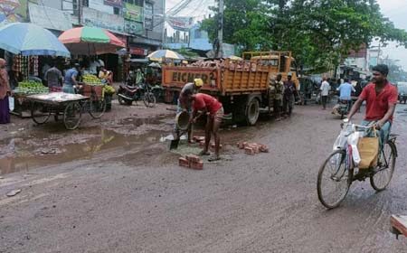শার্শা প্রতিনিধি 