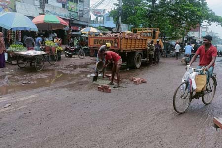 শার্শা প্রতিনিধি 