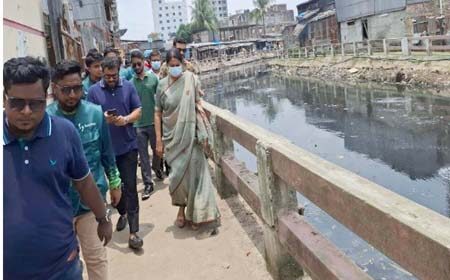 বিকল্প বহুমুখী পণ্য