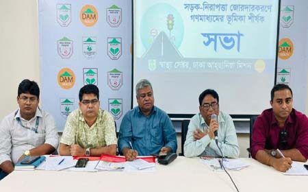 সড়ক ব্যবহারকারী নিহত