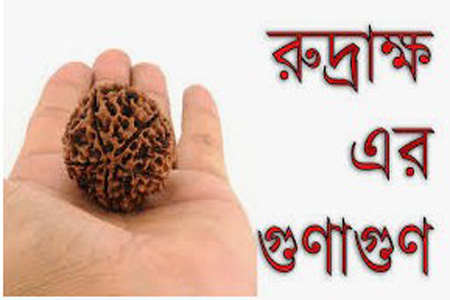 রুদ্রাক্ষ