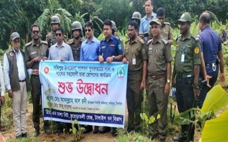 জমি উদ্ধার