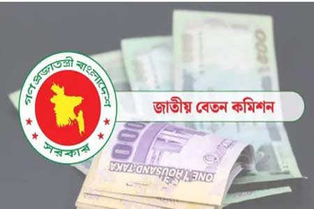 বেতন কমিশনের কাজ