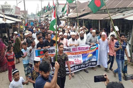 ফিলিস্তিনে হামলার প্রতিবাদে সালথার গট্টিতে বিক্ষোভ মিছিল