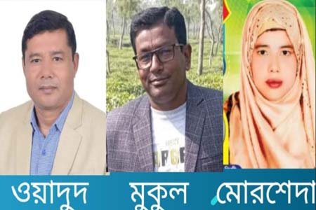 সালথা উপজেলা পরিষদ নির্বাচনে ওয়াদুদ মাতুব্বর