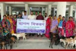 শ্যামনগরে দরিদ্র নারীদের মাঝে ছাগল বিতরণ