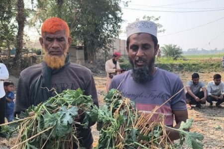 শ্যামনগর কৈখালী কৃষকের  তরমুজ ক্ষেত ক্ষতিগ্রস্থ