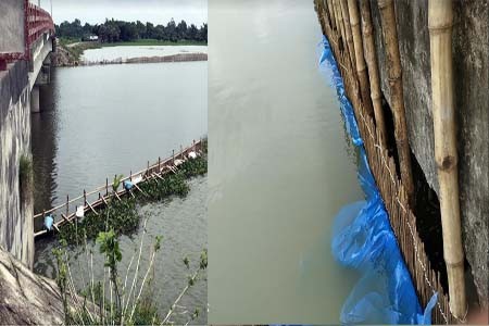 সাপাহার জবই বিলে