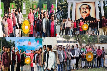 শার্শায় উৎসাহ উদ্যপনায় মহান বিজয় দিবস পালিত