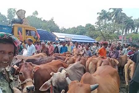 সতী পশুর হাট