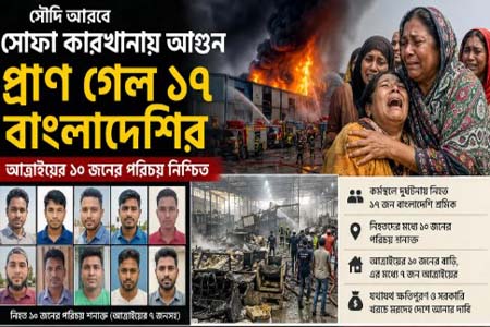 সোফা কারখানায় ভয়াবহ আগুন