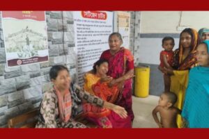 শৈলকুপায় সাপের কামড়ে শিশুর মৃত্যু