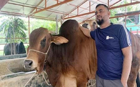 অনুকরণীয় দৃষ্টান্ত