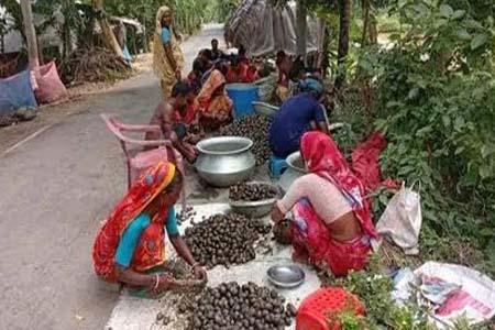 Remove term: নড়াইলে অবাধে চলছে শামুক-ঝিনুক নিধন নড়াইলে অবাধে চলছে শামুক-ঝিনুক নিধন