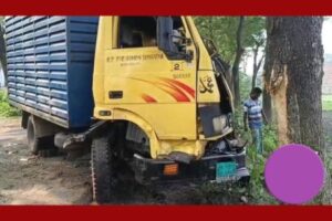শার্শায় নিয়ন্ত্রণ হারিয়ে গাছে কভার্ড ভ্যানের ধাক্কায় সহকারী নিহত
