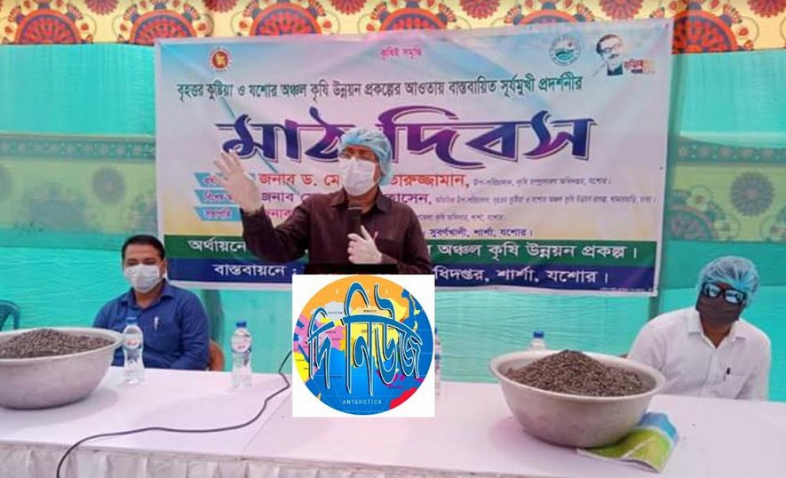 শার্শায় সূর্যমুখী প্রদর্শনীর মাঠ দিবস অনুষ্ঠিত