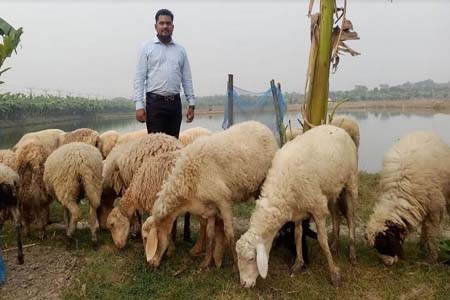 বেকারত্ব দুর করতে কালীগঞ্জে লাভলুর খামার এক দৃষ্টান্ত