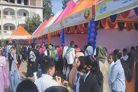 মাদারীপুরের শিবচরে বিদ্যালয়ে পিঠা উৎসব
