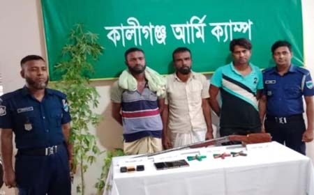 যৌথবাহিনীর অভিযানে
