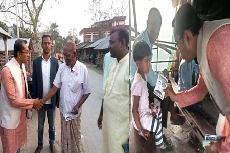 ভাইস চেয়ারম্যান পদপ্রার্থী সিরাজুল