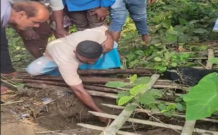 কবরস্থান থেকে কঙ্কাল চুরি 