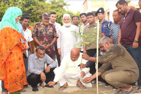 ধামইরহাটে পরিকল্পনা প্রতিমন্ত্রী শহীদুজ্জামান সরকারের শোভাবর্ধনকারী গাছ রোপন
