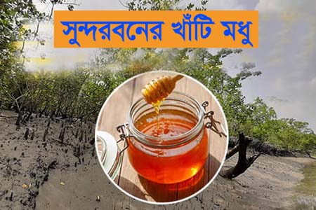 বাংলাদেশের জিআই পণ্য হিসেবে নিবন্ধিত হচ্ছে সুন্দরবনের মধু