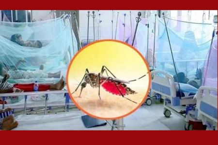 সিলেটে বাড়ছে ডেঙ্গু, আরও ৮ রোগী শনাক্ত