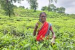 ২ হাজার চা-শ্রমিক ও পরিবারের দৃষ্টিসেবায় ব্র্যাক ব্যাংক ও ভিশনস্প্রিং