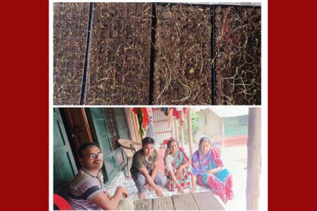 পাইকগাছার সোলাদানায় অফ-সিজনে তরমুজ চাষের ব্যাপক উদ্যোগ