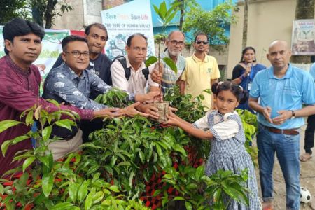 ঝিনাইদহের পরিবেশের ভারসাম্য রক্ষায় গাছের চারা বিতরণ