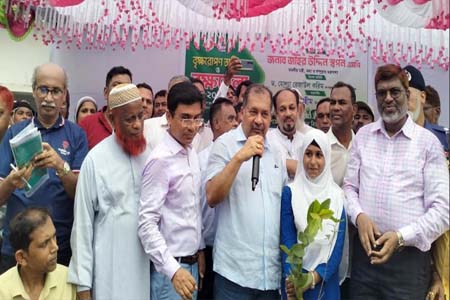 শিশুর মতোই গাছের চারার পরিচর্যা