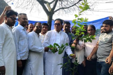 বিএনপির উদ্যোগে সবুজ বেনাপোলের প্রত্যয়ে পঞ্চম দিনের বৃক্ষরোপণ