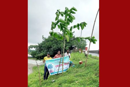 পাইকগাছায় বনবিবির উদ্যোগে বৃক্ষরোপন