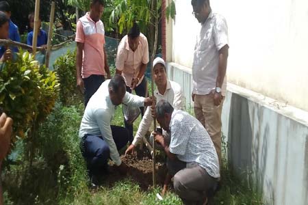 মধুখালী উপজেলায় ৯৬ টি প্রাথমিক বিদ্যালয়ে এক যোগে বৃক্ষরোপণ