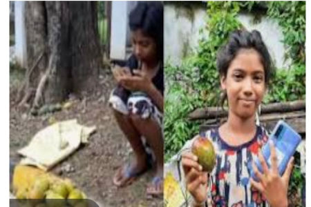 কেন ১২টি আম কিনলেন ১লক্ষ ২০ হাজার টাকায়?