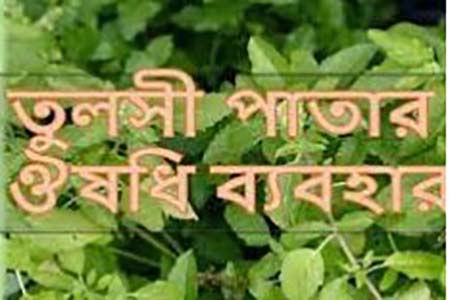তুলসীর ব্যবহার