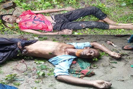 ভ্যানচালককে হত্যাসহ দুই মরদেহ উদ্ধার