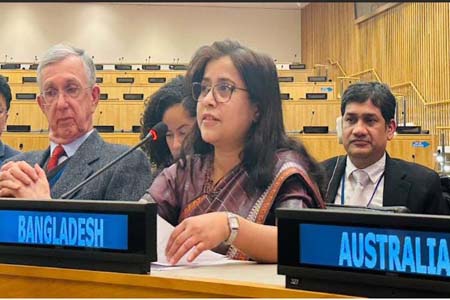 জাতিসংঘ শান্তি বিনির্মাণ কমিশনের সহসভাপতি