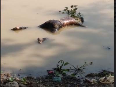 ছাতকে অজ্ঞাতনামা যুবকের লাশ উদ্ধার