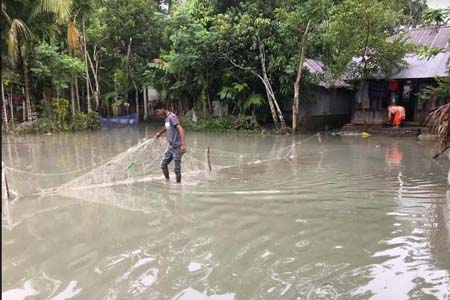 উজিরপুরে নিম্নাঞ্চল প্লাবিত