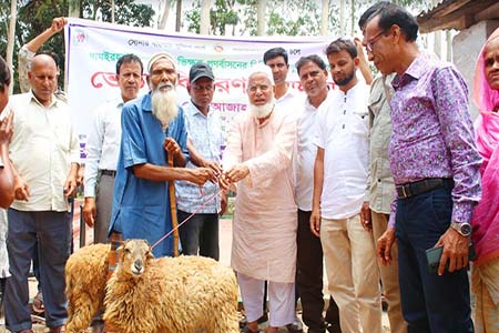 ধামইরহাটে সমাজসেবা দপ্তরের উদ্যোগে ৩৪ জন ভিক্ষুকের মাঝে ভেড়া বিতরণ