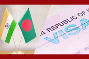 ভারতের ট্যুরিস্ট ভিসার আবেদন করবেন যেভাবে