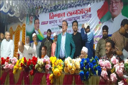 কামারখালীতে ৩১ দফা বাস্তবায়নে বিএনপির