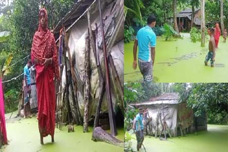নিস্কাসনের ব্যবস্থা না থাকায় শার্শায় ৫টি পরিবার পানিবন্দি
